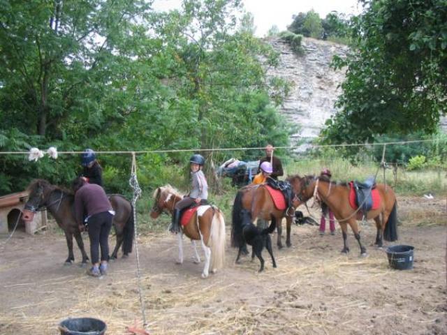 Centre equestre , poneys et chevaux (sur place) autour de notre location de vacances