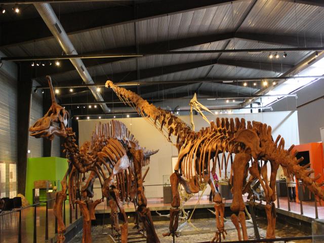 Espéraza musée des dinosaures à 1h autour de notre location de vacances
