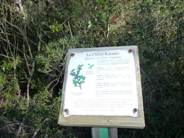 Lagrasse le sentier botanique du romanissat autour de notre location de vacances