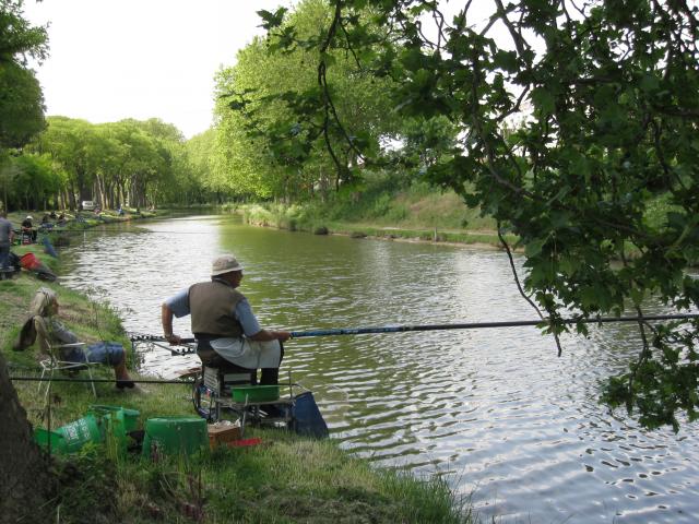La pêche dans le canal du midi autour de notre location de vacances