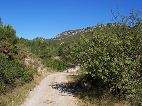 Une nature vierge autour de notre location de vacances