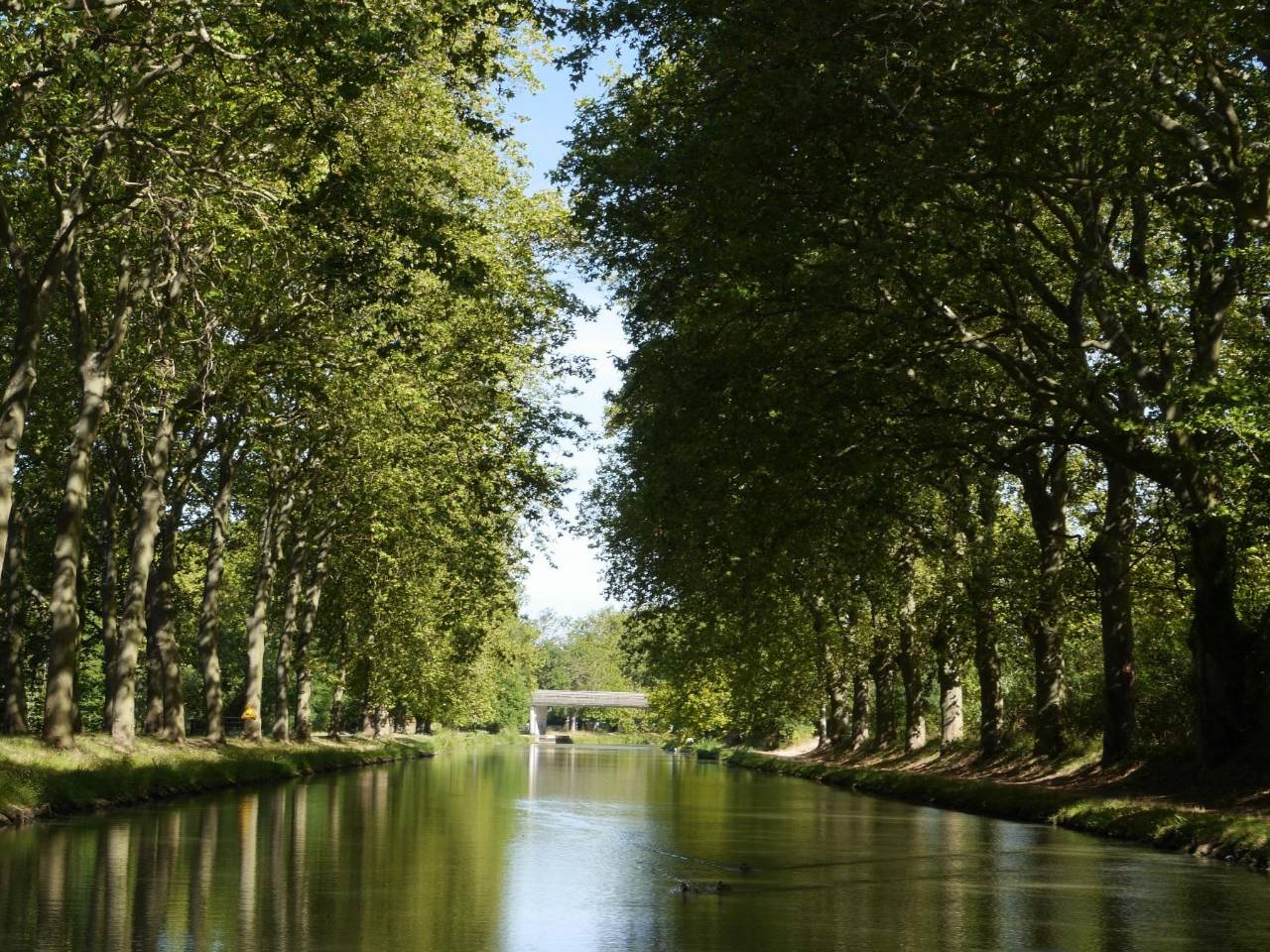 le Canal du Midi autour de notre location de vacances