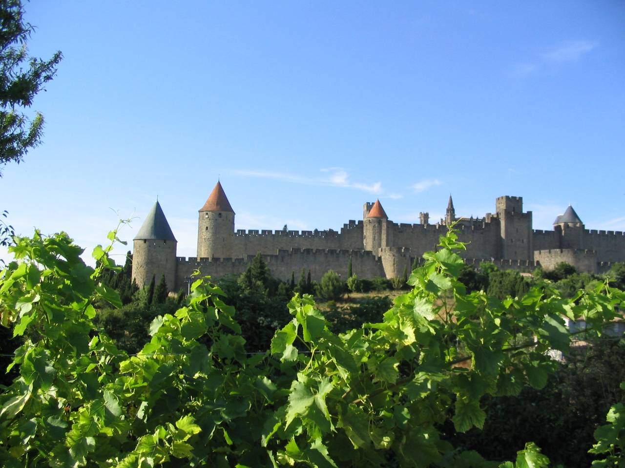 Cité de Carcassonne