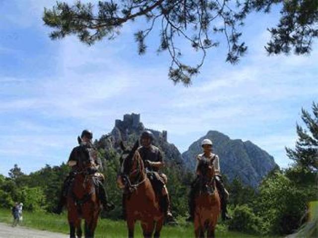 Les ballades à chevaux sur place autour de notre location de vacances