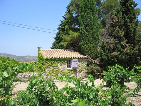 Cabanon des vignes