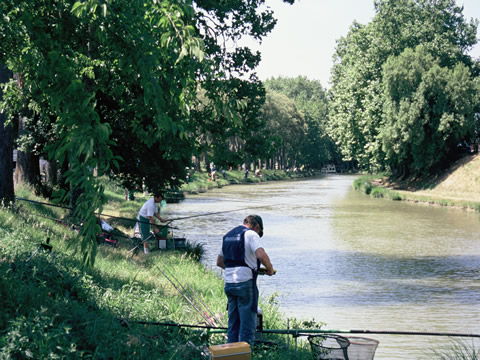 Pêche au bord du canal autour de notre location de vacances