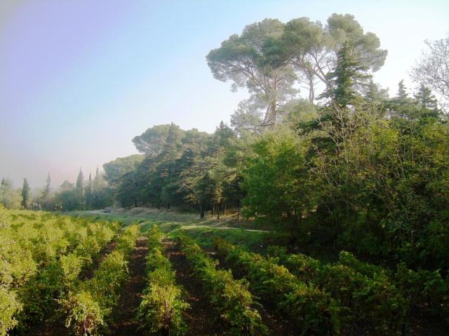 Arrivée au domaine autour de notre location de vacances