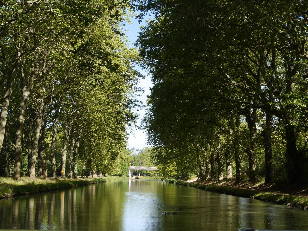 La canal du Midi autour de notre location de vacances