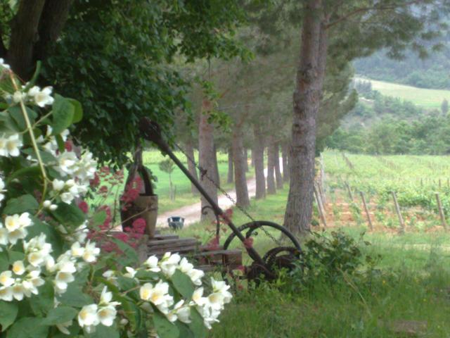 Robinson. l'entére du domaine