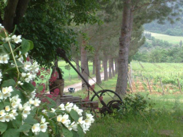 Robinson. l'entére du domaine autour de notre location de vacances