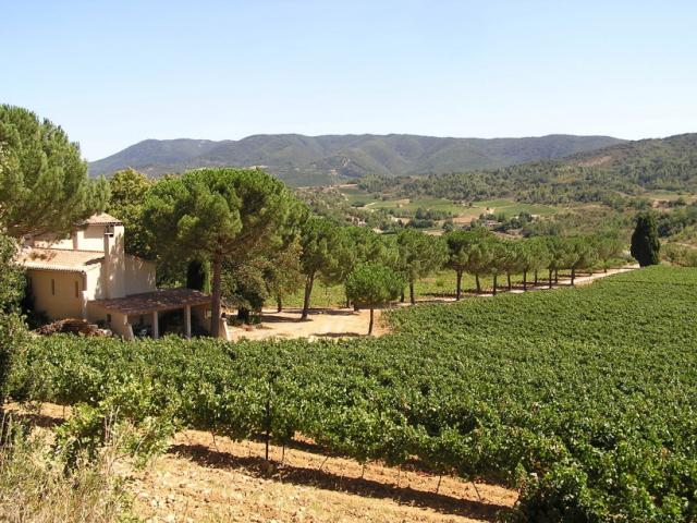 Robinson vu depuis la colline autour de notre location de vacances