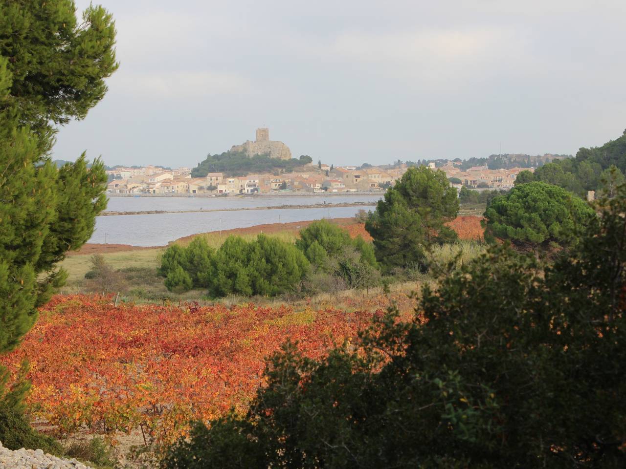 Gruissan autour de notre location de vacances