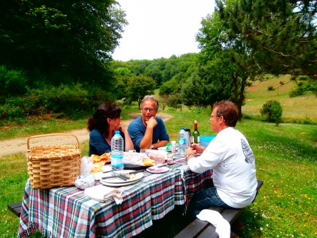 Pique-nique sur l'herbe autour de notre location de vacances