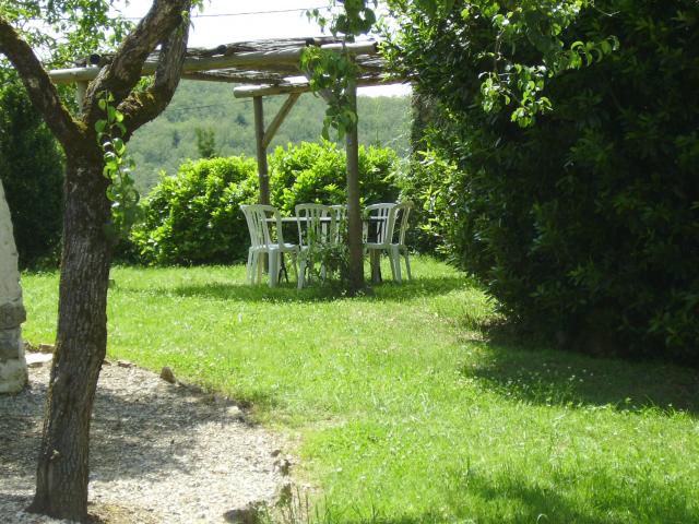 Petit coin de pergola