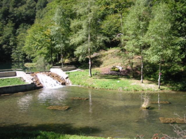 Prendre le frais et du poisson... autour de notre location de vacances