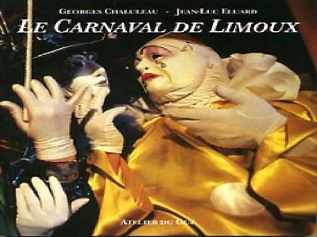 Carnaval de limoux (20 km) autour de notre location de vacances