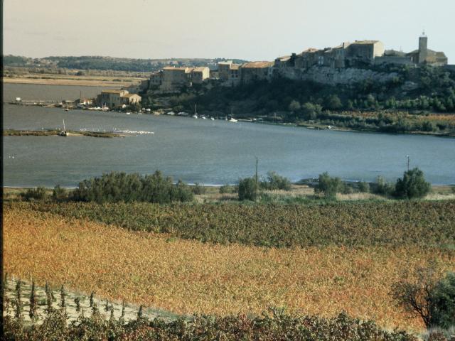 Bages village de pêcheurs et d'artistes autour de notre location de vacances