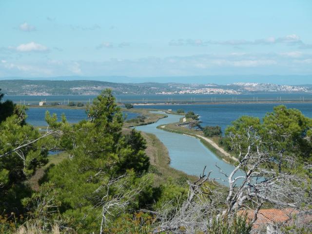 Balade à l'ile de sainte lucie à port la nouvelle autour de notre location de vacances