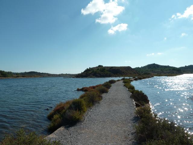 Peyriac de mer balade sur l'étang du doul à 1h