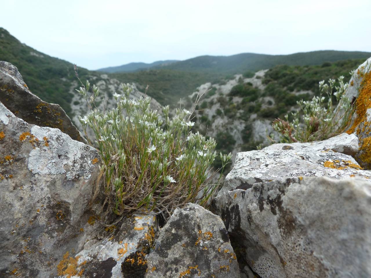 Balade de Termes Nitable Roc à 10km de Saint Martin des Puits  autour de notre location de vacances