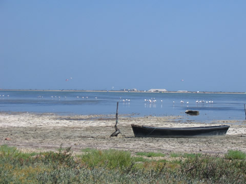 Les plages autour de notre location de vacances