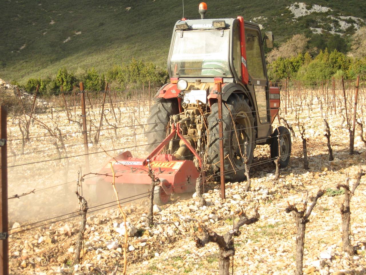 Travaux d'Automne et d'hiver : Broyage des sarments autour de notre location de vacances