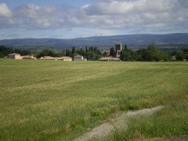 Sainte eulalie dans son nid de verdure